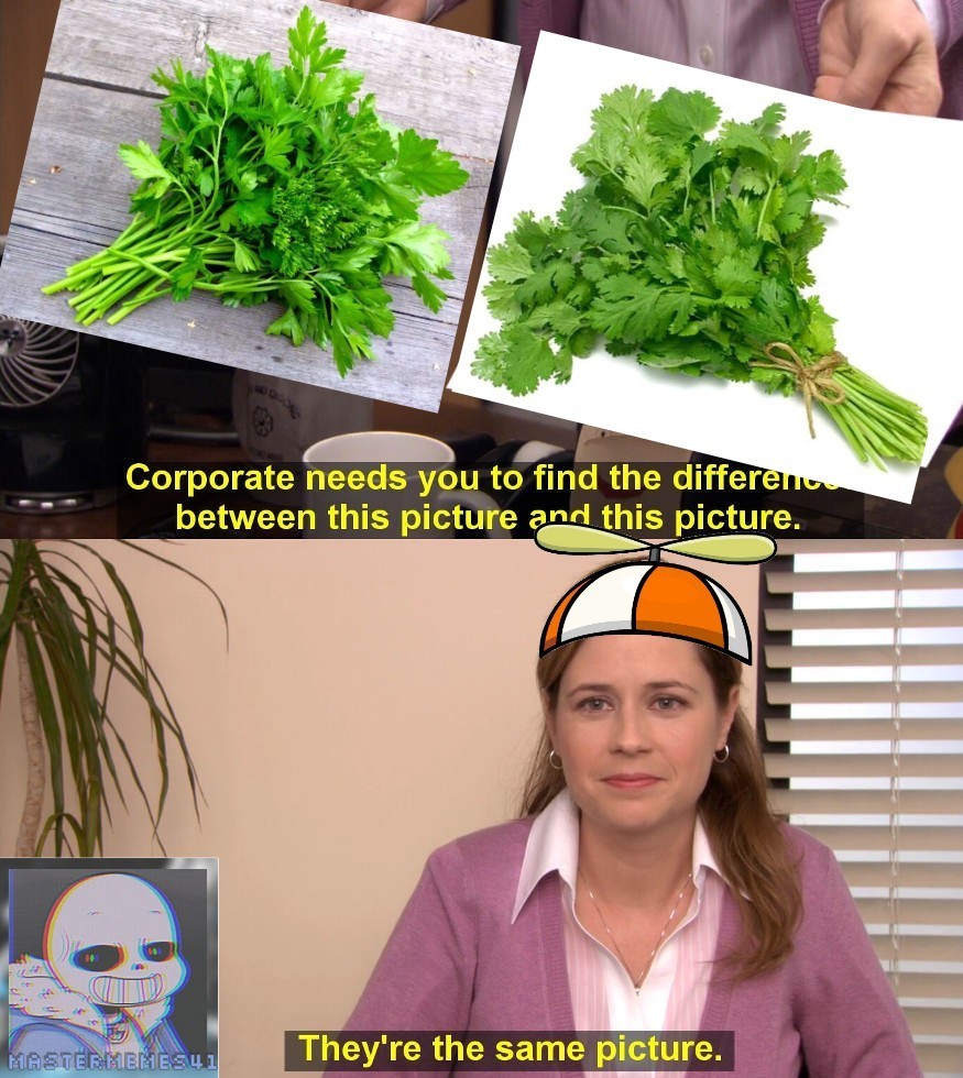 Es perejil o cilantro ya no sé cuál es Meme subido por Masterjavier41