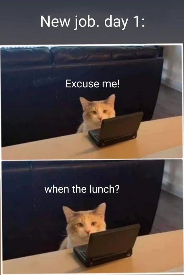 The best Laptop memes ) Memedroid