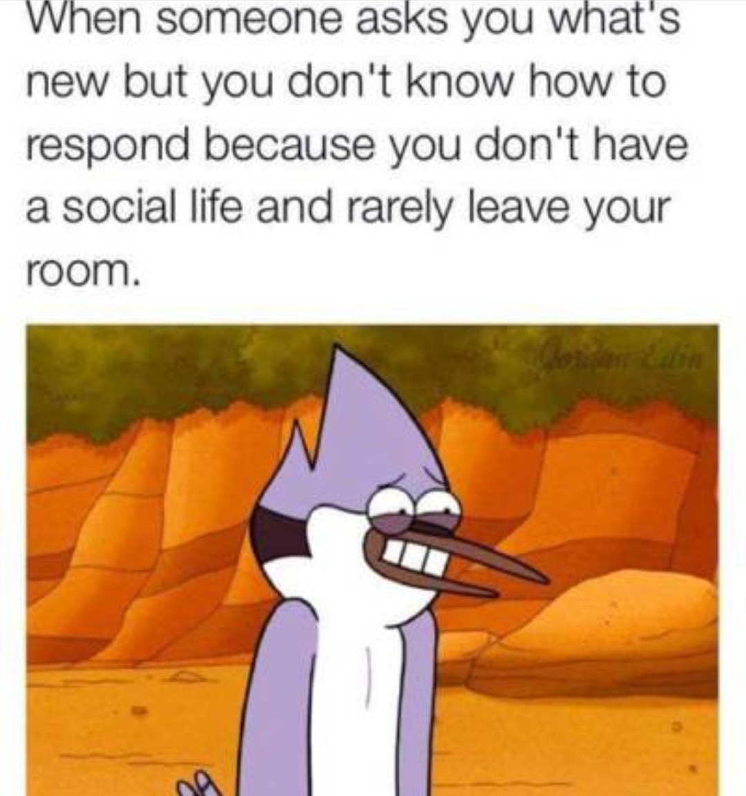 The best Regular Show memes ) Memedroid