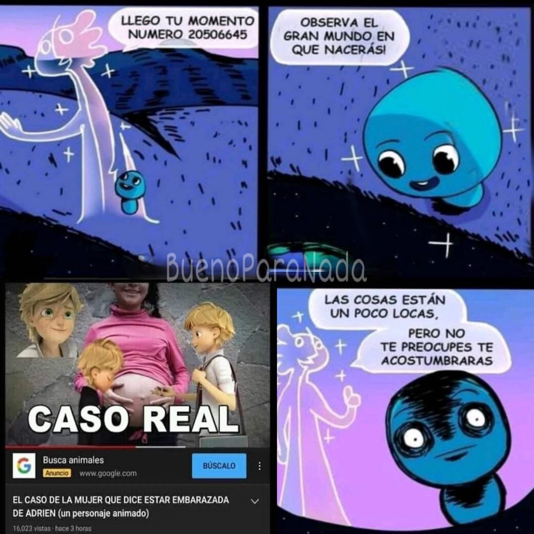 robe la plantilla por eso se ve HD Meme subido por BuenoParaNada