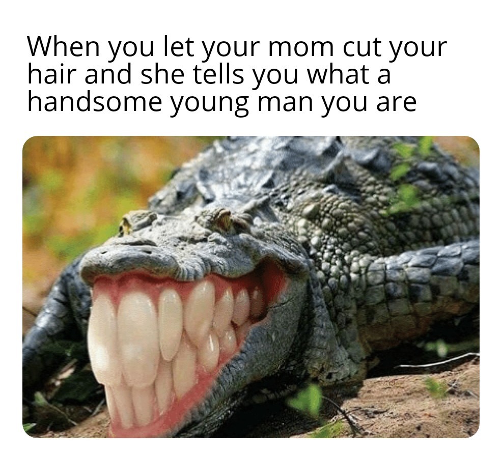 Florida Man Alligator Meme Meadow Dixon