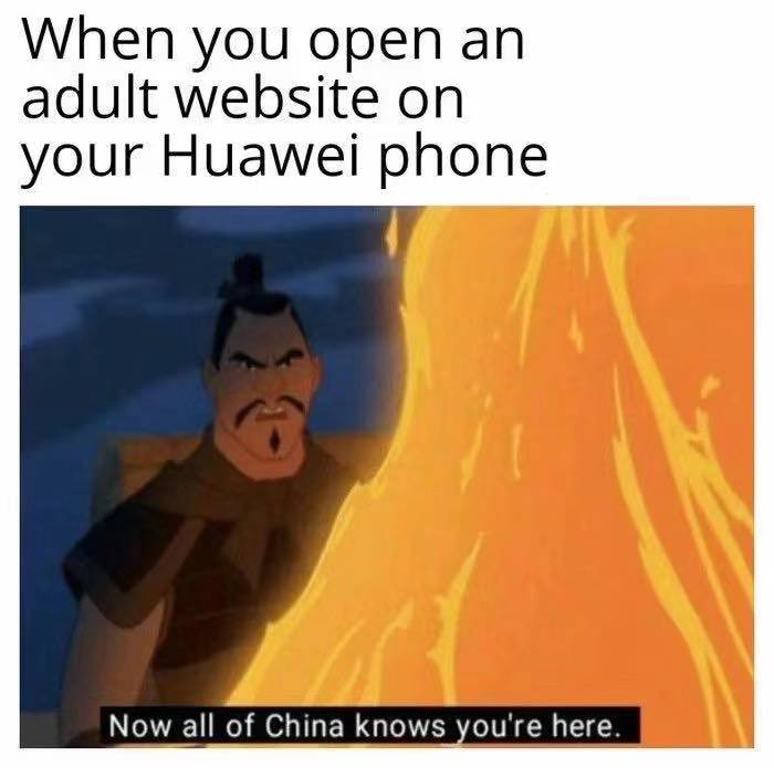 The best Huawei memes ) Memedroid