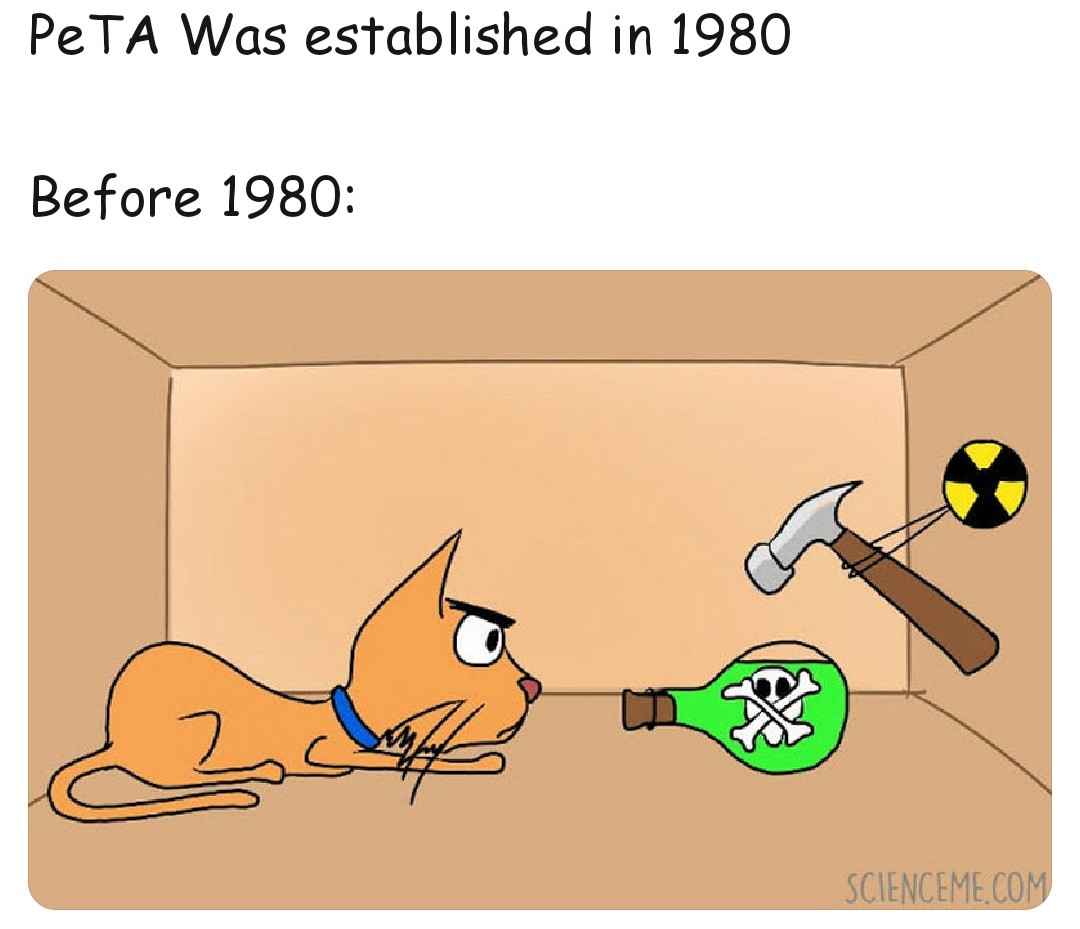 Schrödingers Cat Meme Captions Hunter