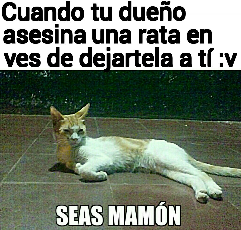 Seas mamón Meme subido por Zcode ) Memedroid