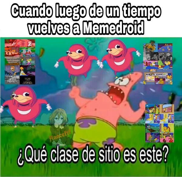 You are the queen? Meme subido por deleted_b1bf7fa3ccb ) Memedroid