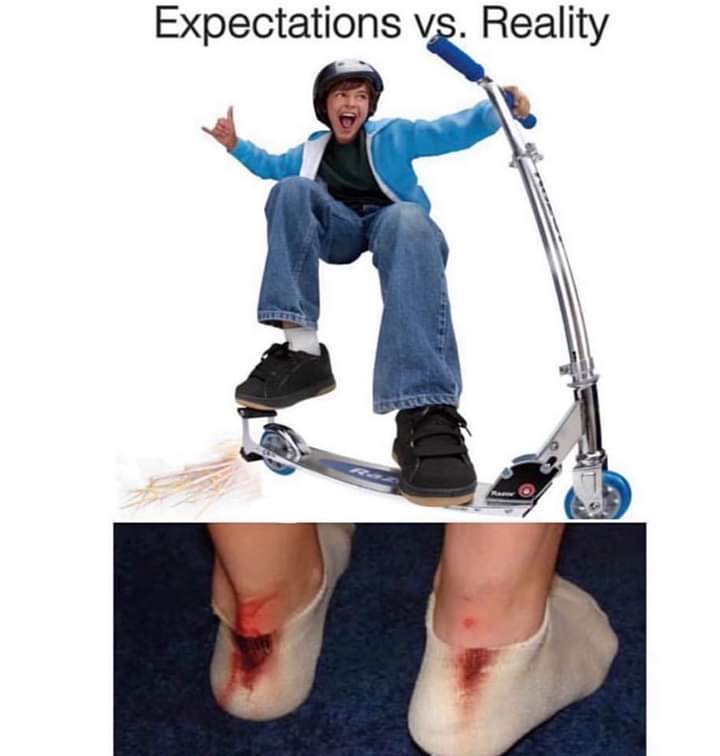 The best Scooter memes ) Memedroid