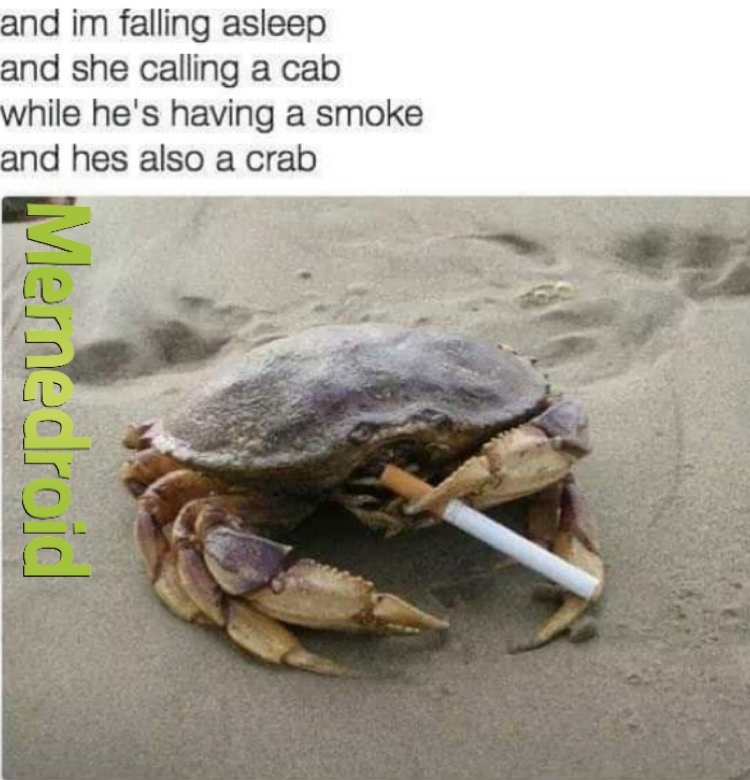 The best crab memes ) Memedroid