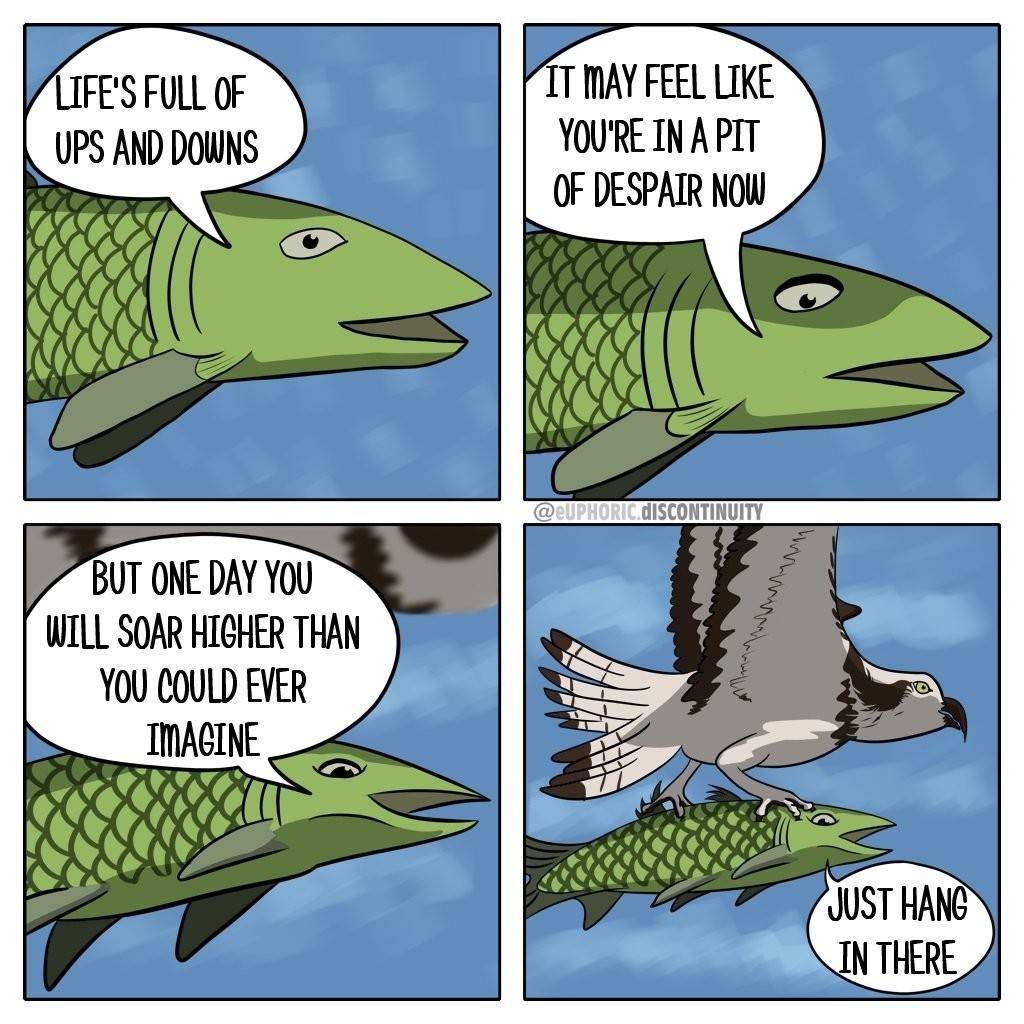 Flying high Meme by Cliffy_99 ) Memedroid