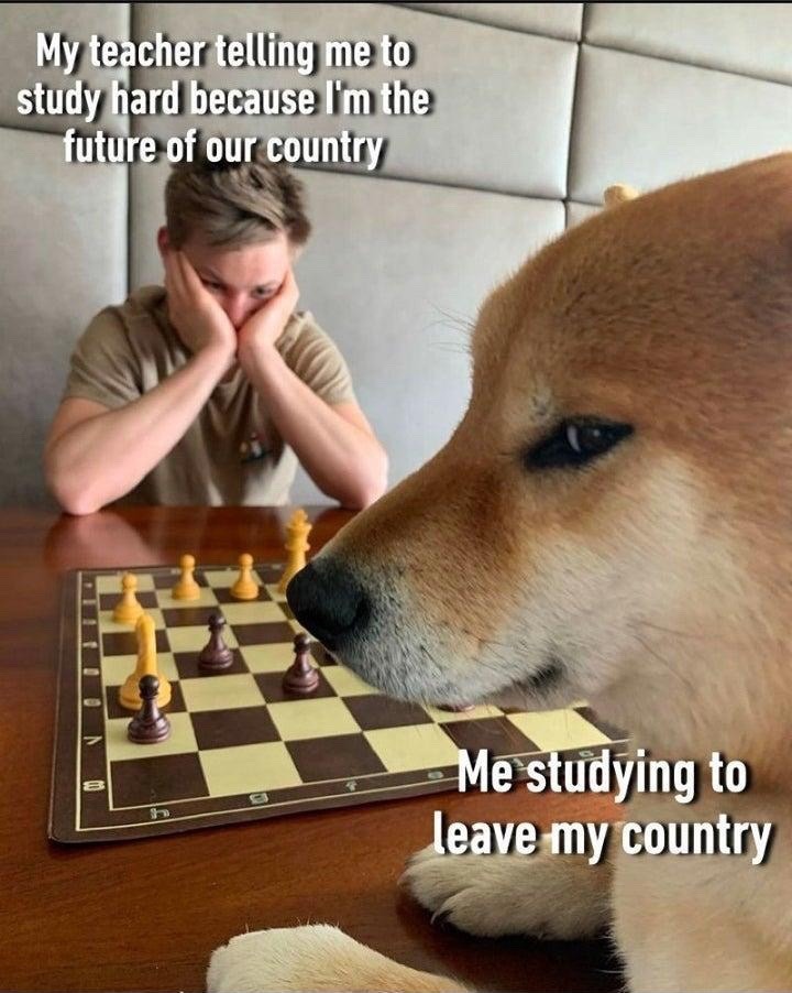 Checkmate Funny