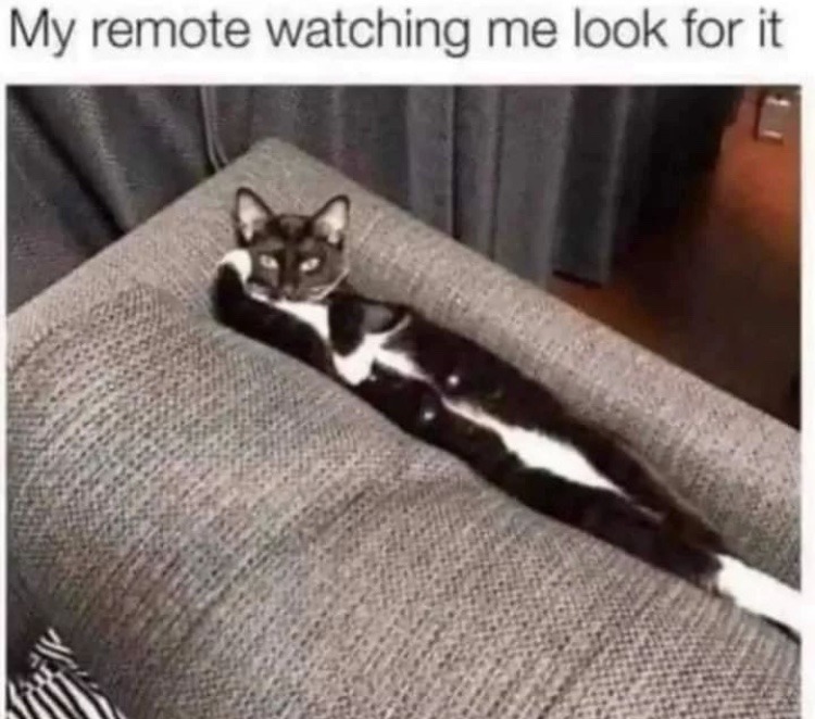 in between the cushions Meme by DaMusicGamer ) Memedroid