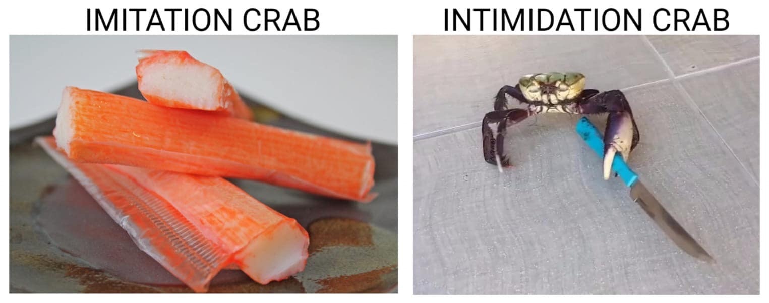 The best crab memes ) Memedroid