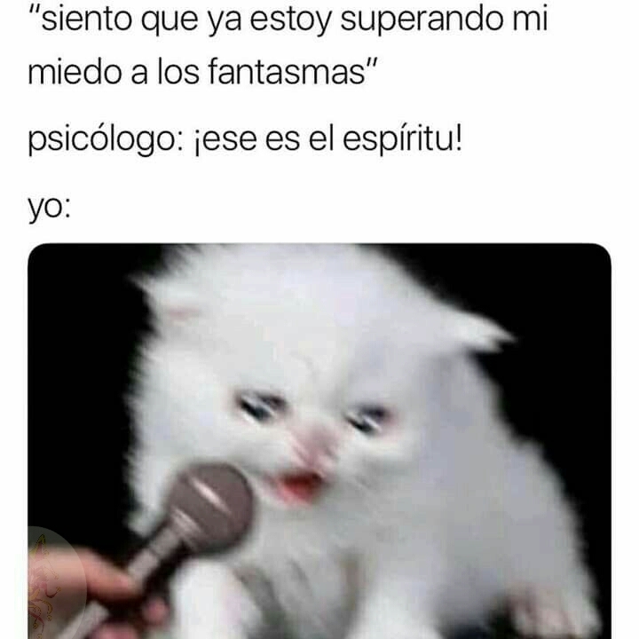 Download Meme Del Gato Llorando Me Perdonas PNG & GIF BASE