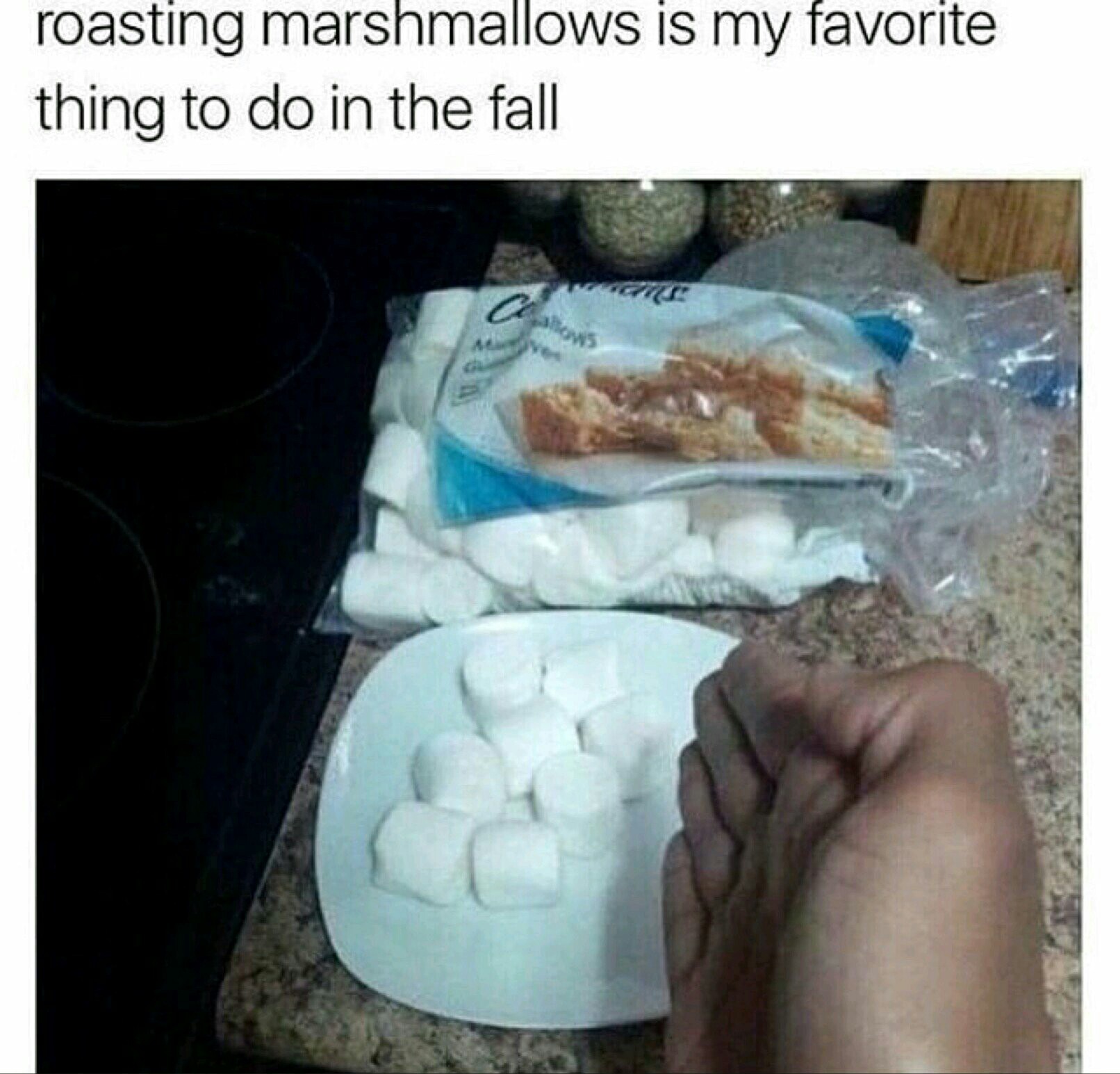 Boom roasted Meme by Solid_Horse ) Memedroid