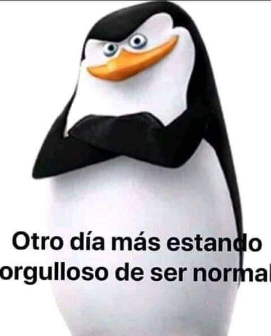 Top memes de los pingüinos de madagascar en español ) Memedroid