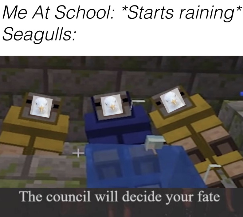 Bird Dookie Meme by Spoopyandcursed781 ) Memedroid