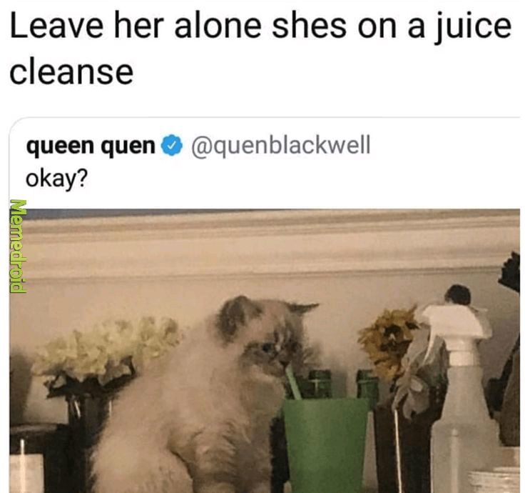 He is on her juice cleansing Meme by El_GATOS ) Memedroid