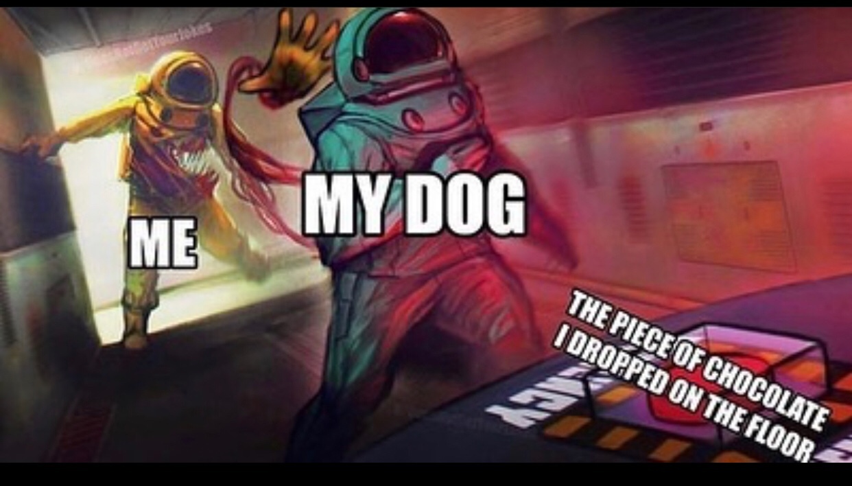 Rip dog my dog died 5 years ago Meme by llllllllll ) Memedroid