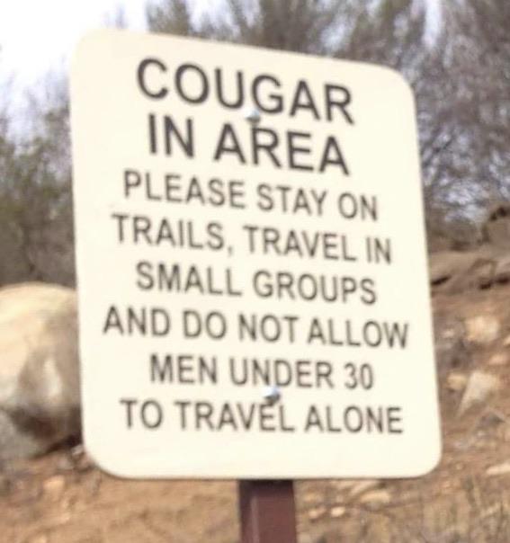 Cougar in area Meme by Bolt93 ) Memedroid
