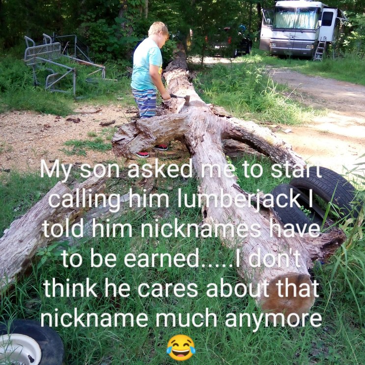 The best Lumberjack memes ) Memedroid