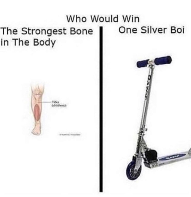 that damn scooter Meme by Keylae12787 ) Memedroid