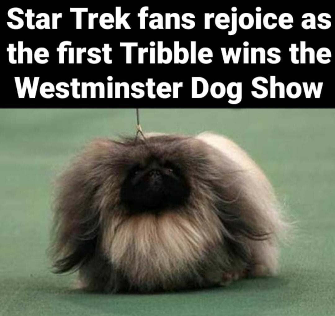 The best star trek memes ) Memedroid