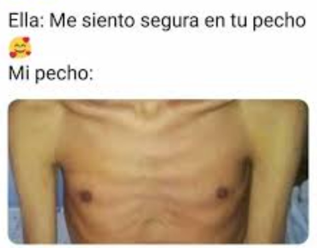 Mi pecho Meme by caradepopo69 ) Memedroid