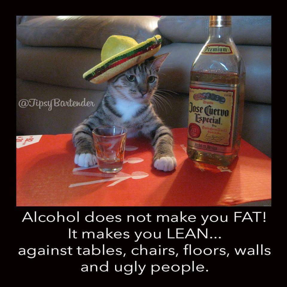 The best Tequila memes ) Memedroid
