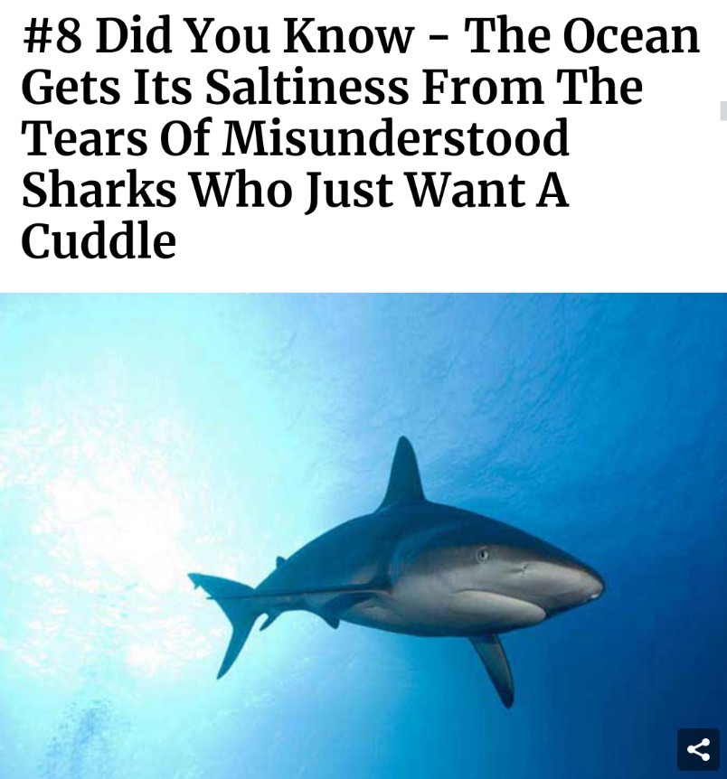 Shark Tears Meme