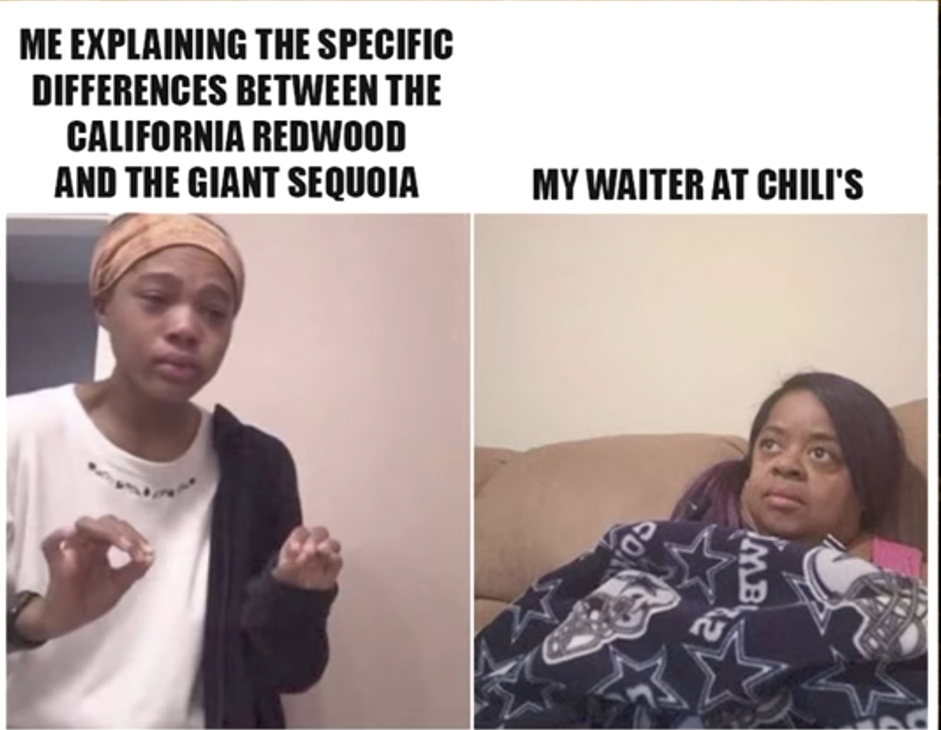 Wood Meme by ThegreatJawa ) Memedroid