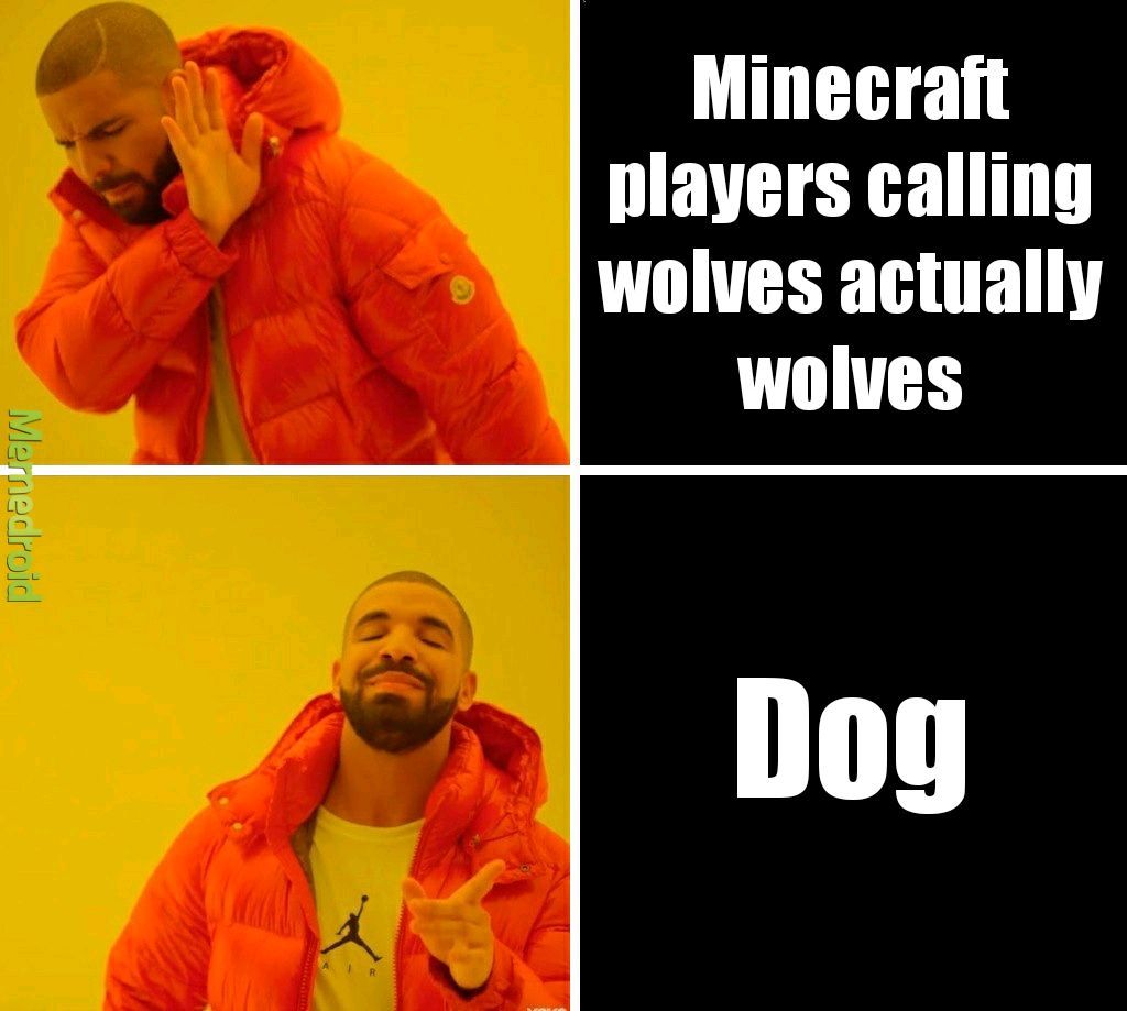 Minecraft players be like Meme by Nickdab_07 ) Memedroid