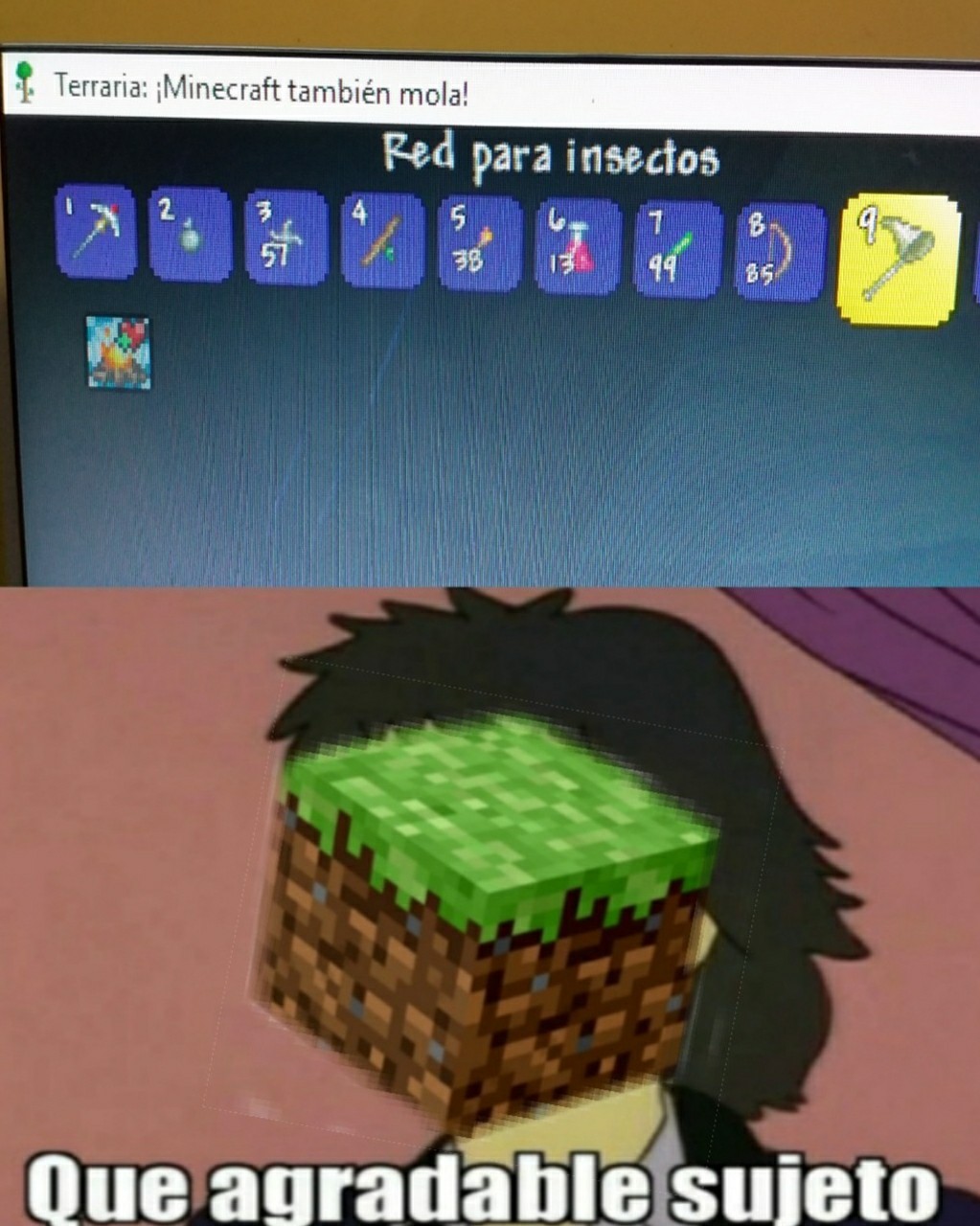 Terraria ) Meme by Renatox545 ) Memedroid