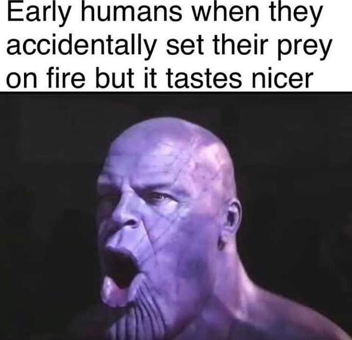 Fire Meme by Hiyou1 ) Memedroid