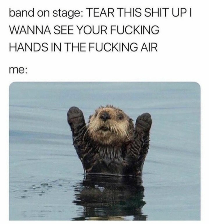 The best beaver memes ) Memedroid