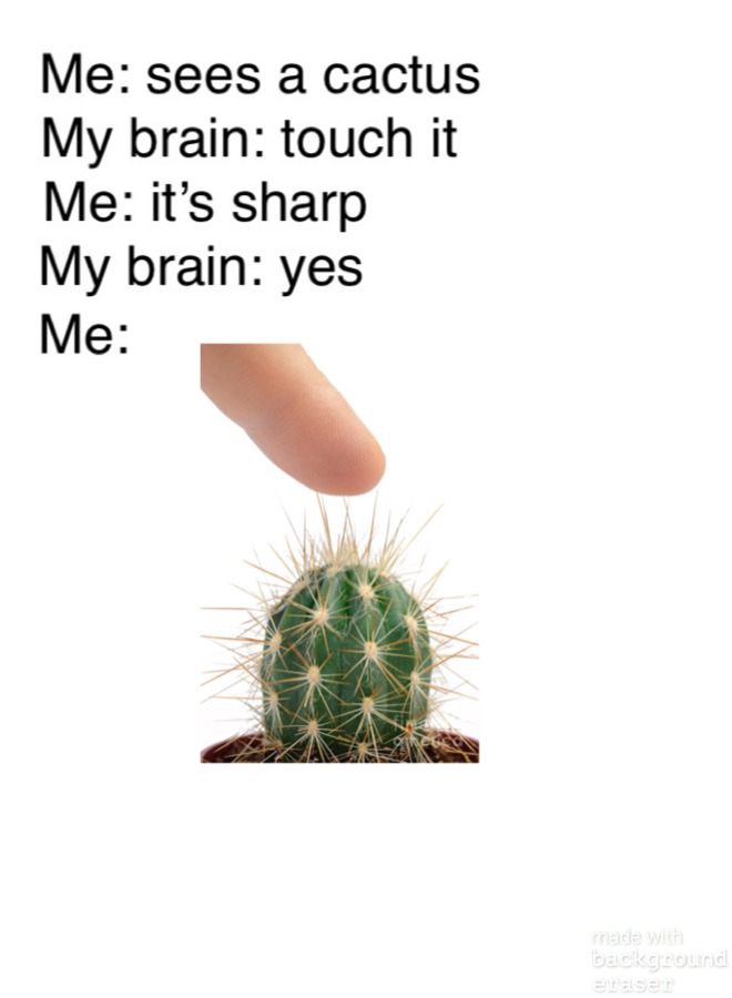 The best Cactus memes ) Memedroid