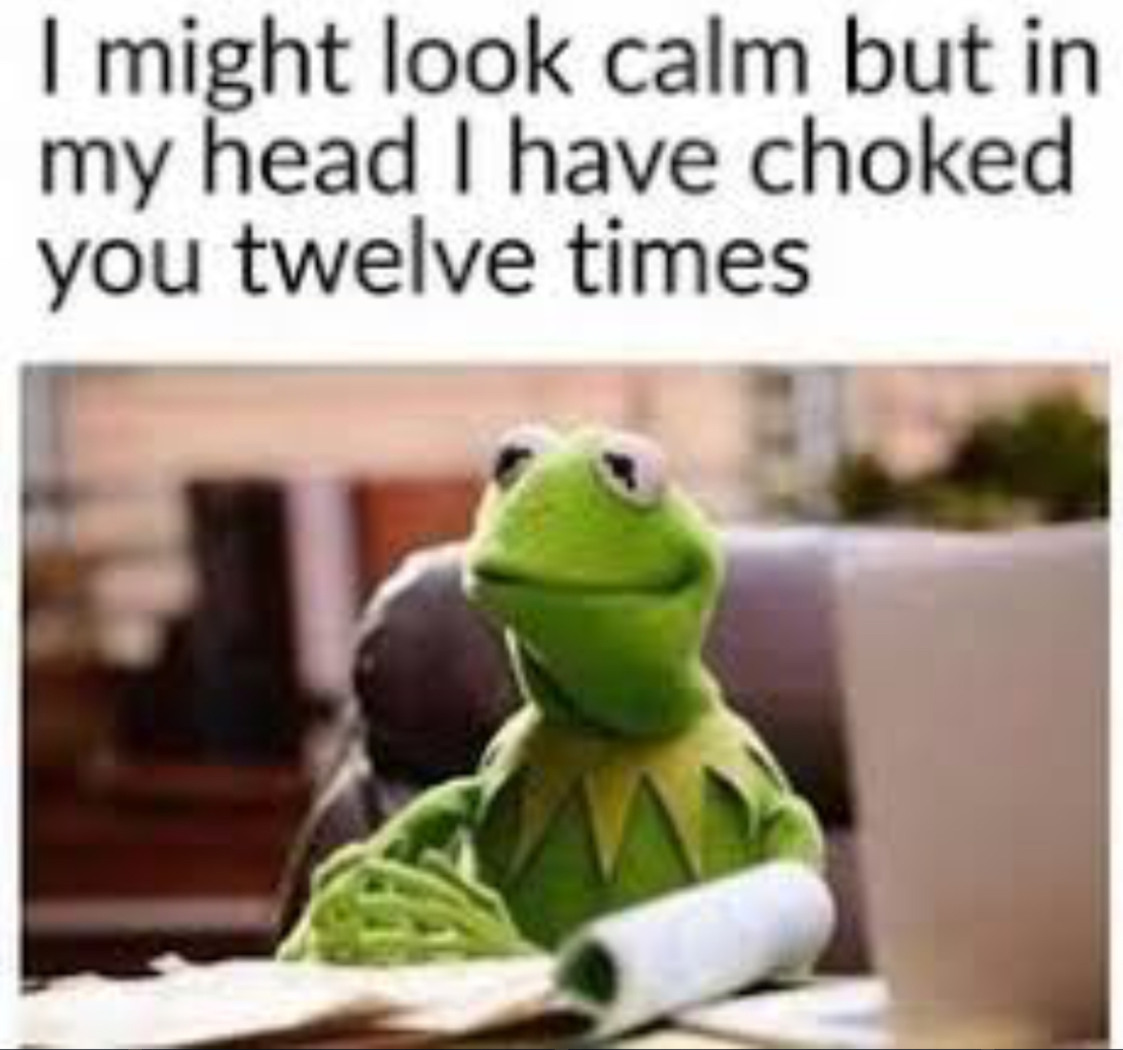 22 Kermit The Frog Meme Teacher Woolseygirls Meme