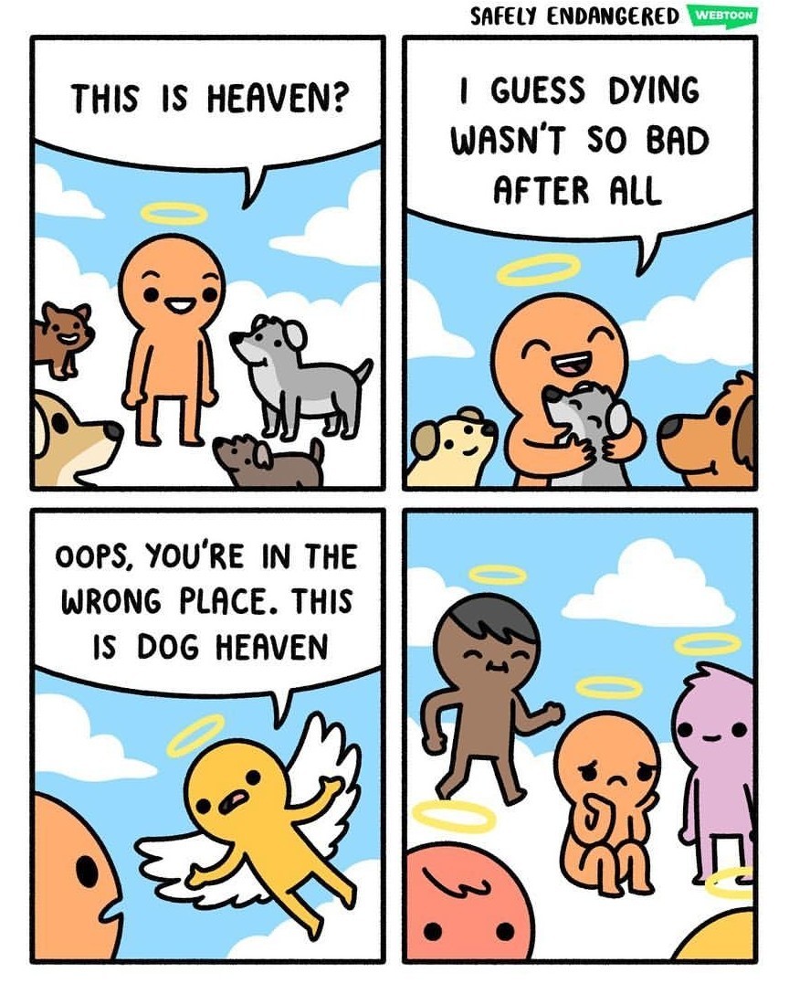 Dog heaven Meme by erenkorkut.pw ) Memedroid