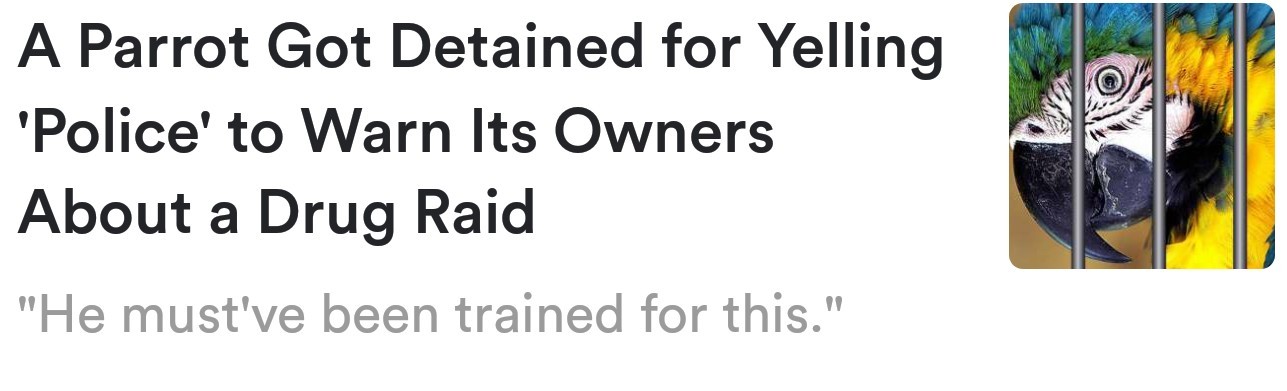 Yayyyy Meme by theseraphrim ) Memedroid