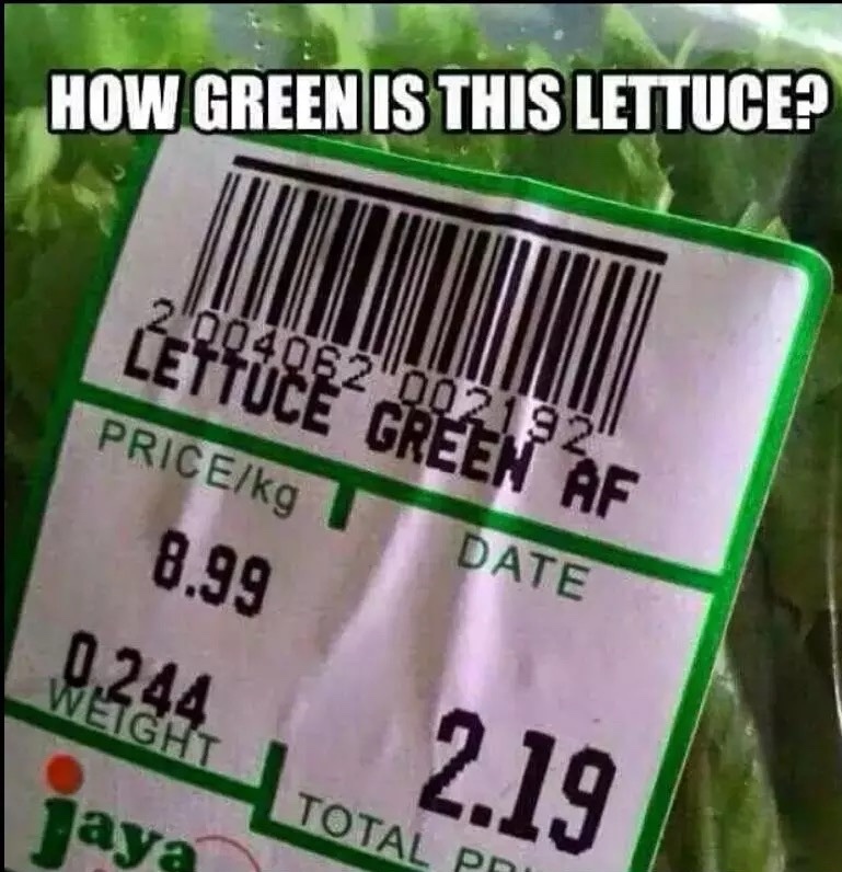 The best Lettuce memes ) Memedroid