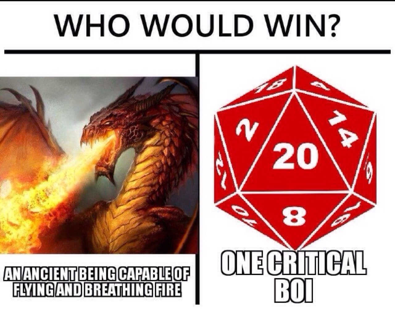 D20 Meme by Greggb8533 ) Memedroid