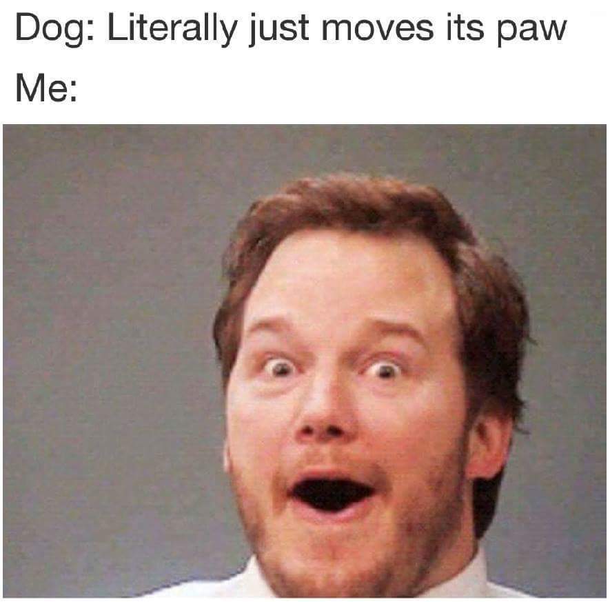 Chris Pratt visits a dog Meme by GraveyTrain ) Memedroid