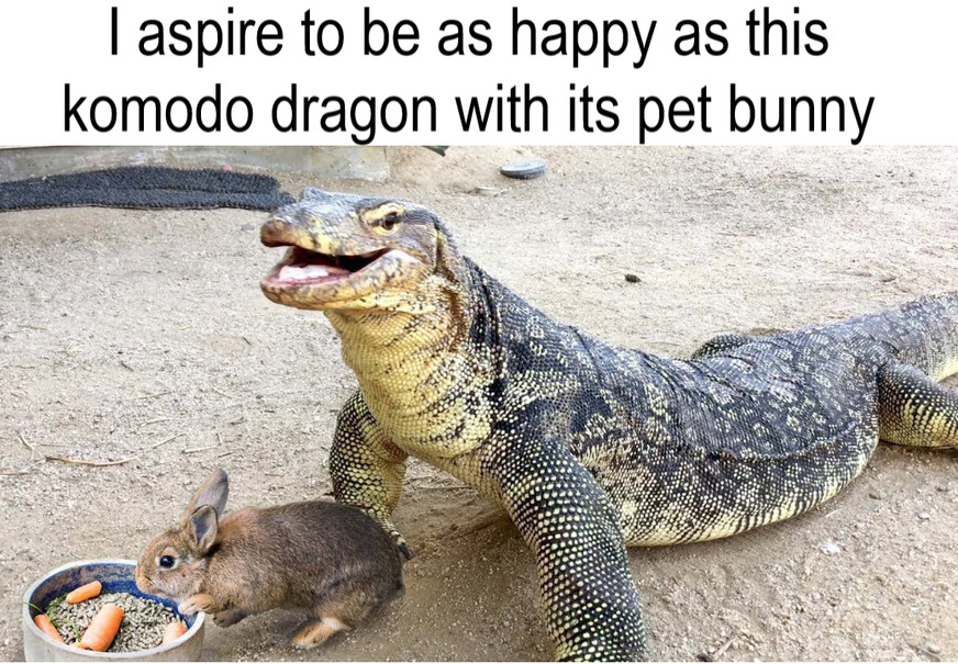 Happy Dragon Meme by pabloshishirey ) Memedroid