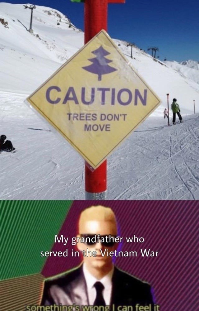 I am the Lorax, I speak for the trees and the trees speak Vietnamese Meme by Bloodyslayer3241