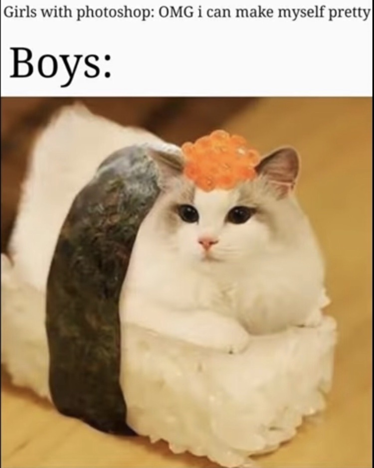 sushi cat. anybody remember that game Meme by