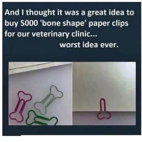 ﻿And I thought it was a great idea to 5000 ‘bone shape’ paper for our veterinary clinic:_. worst idea ever. buy clips