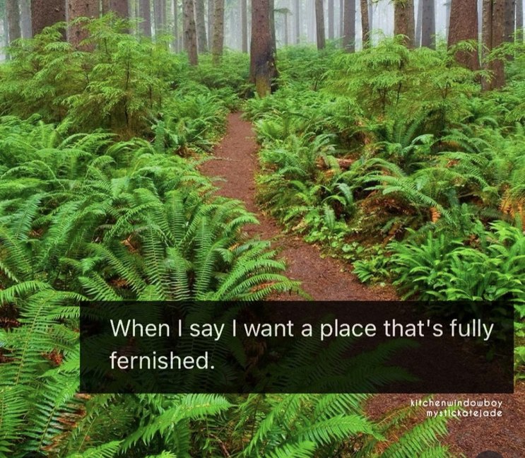 ﻿When | say want a place that’s fully fernished: Mtchenulndowboy Sictatelade