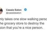﻿Cassie Eaton @cassieeaton it only takes one slow walking person in the grocery store to destroy the illusion that you’re a nice person: