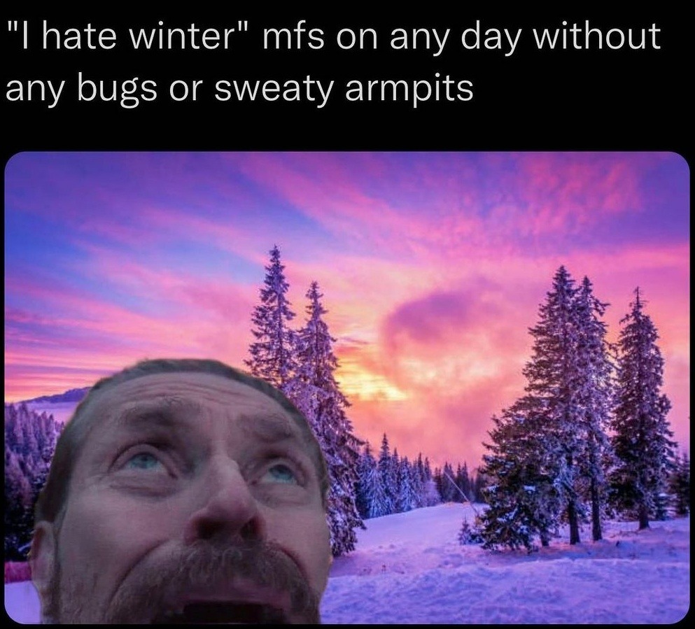 The best winter memes ) Memedroid