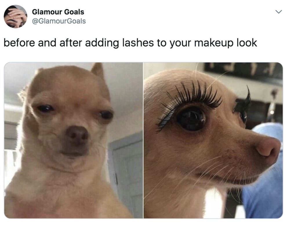 The best Makeup memes ) Memedroid