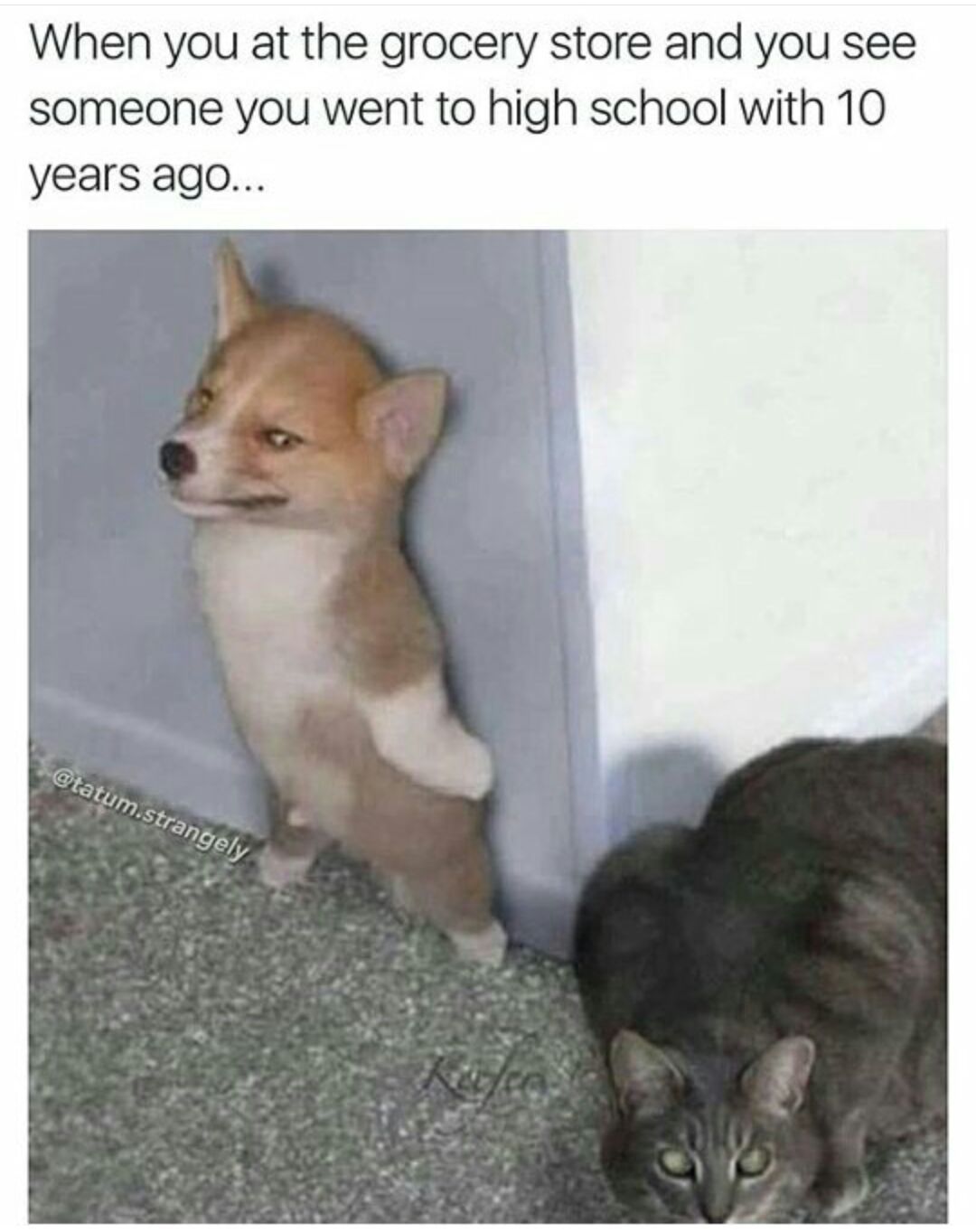 sneaky Meme by CallMeCal ) Memedroid