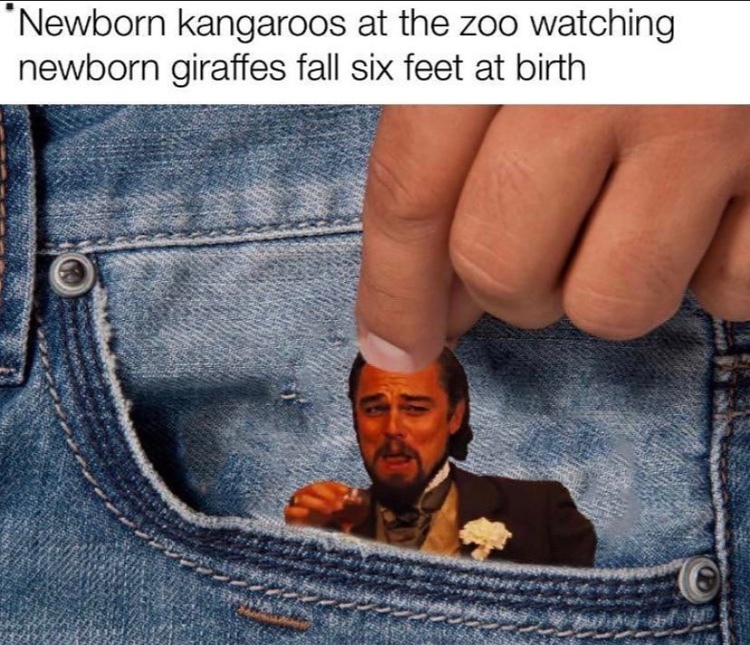 in my pocket Meme by DaMusicGamer ) Memedroid